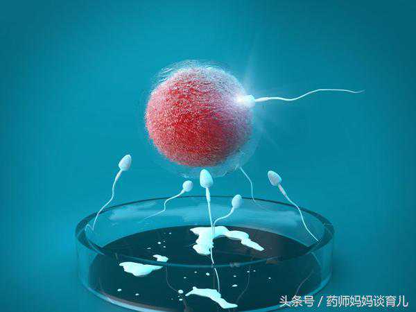 香港验血到底是六周还是七周,做试管婴儿出生的孩子和自然怀孕出生的孩子一