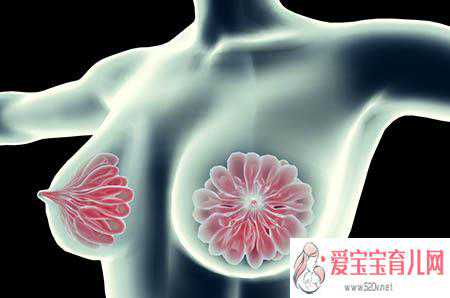 怀孕4个月香港验血结果,经期乳房胀痛有可能会导致不孕