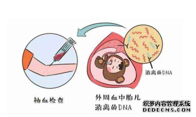 香港验血鉴定胎儿性别有哪些